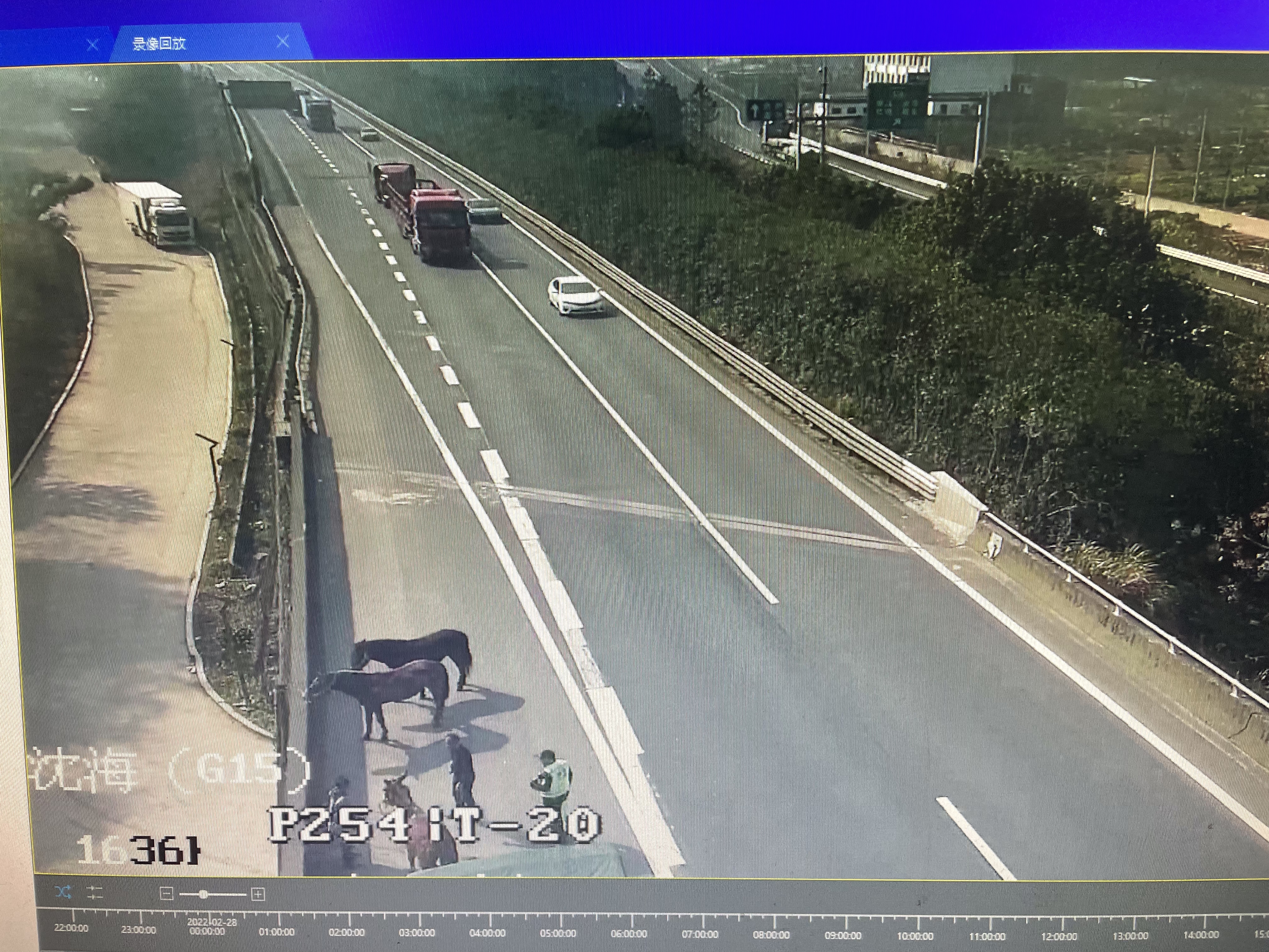 1646121770874287.jpg 2.jpg